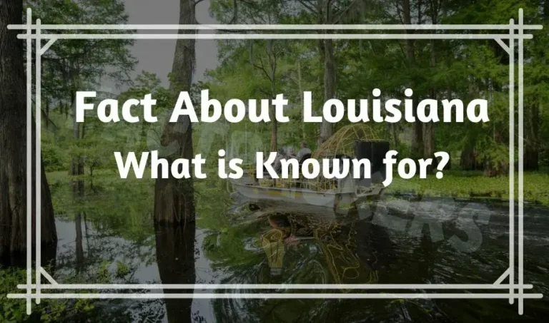 30 Most Interesting & Fun Fact About Louisiana Nobody Known