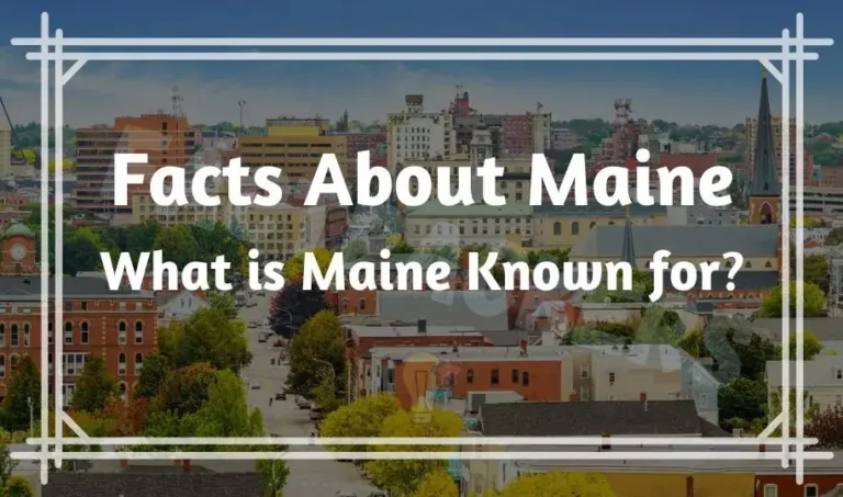 Most 31 Interesting & Funny Facts About Maine | What is Known for?