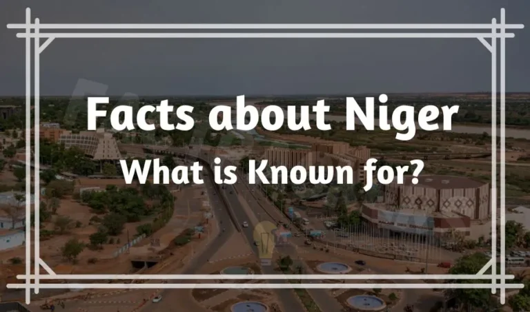 60 Interesting Facts About Niger that Must Know | What is known for?