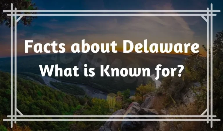 66 Funny & Interesting Facts About Delaware | What is Known for?