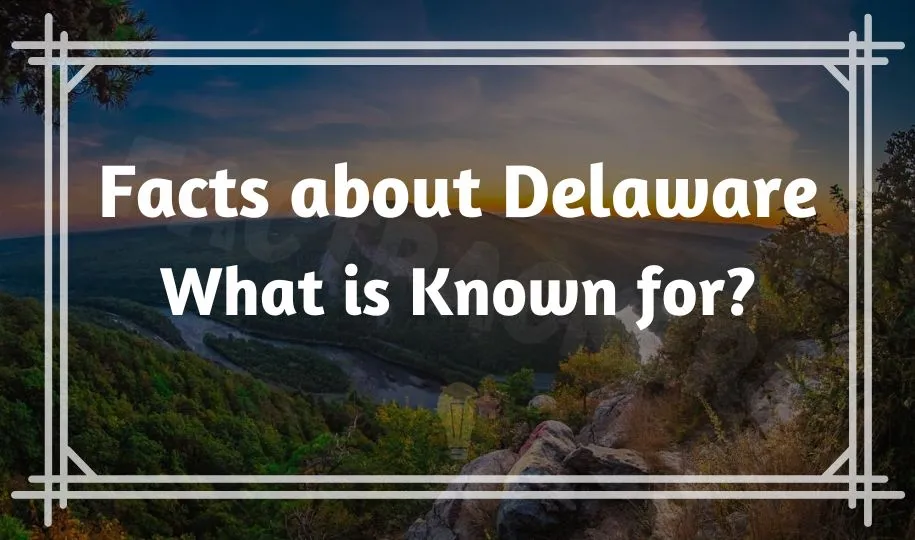 Funny & Interesting Facts About Delaware | What is Known for?
