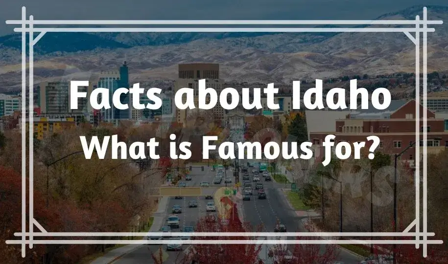Funny Facts About Idaho | What is Idaho Famous for?