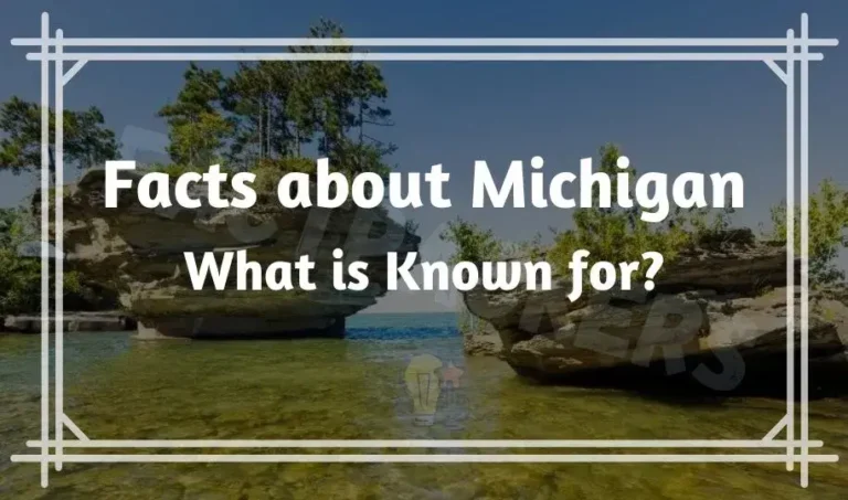28 Funny & Interesting Facts about Michigan State | What is Known for?