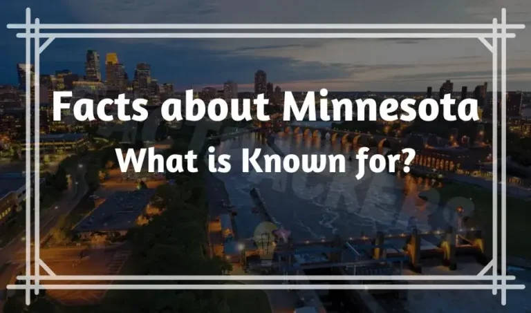 15 Interesting & Crazy Fun Facts about Minnesota | What is Known for?