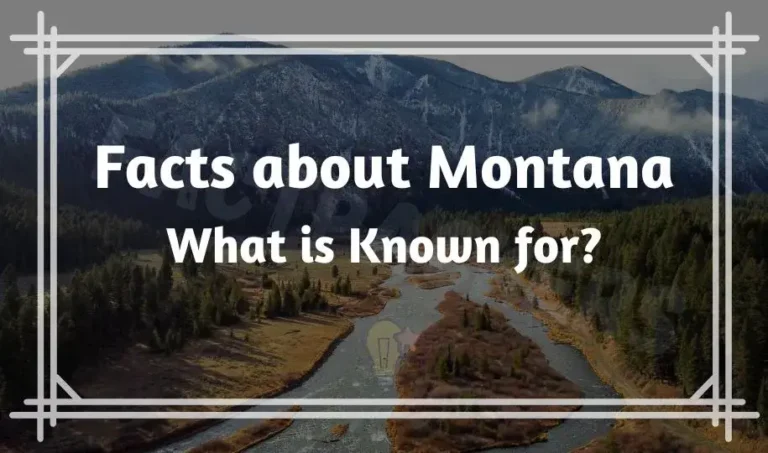 21 Interesting & Fun Facts about Montana | What is Known for?