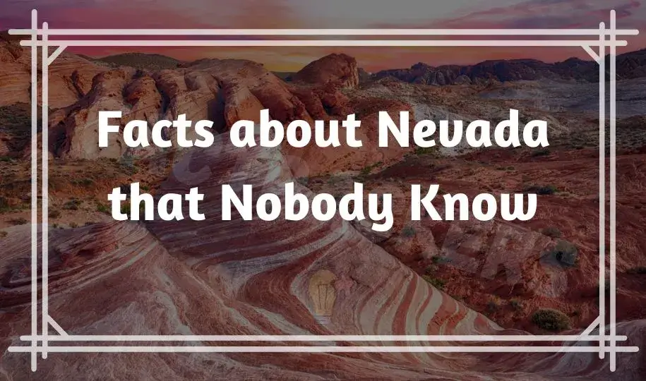 Interesting & Funny Facts about Nevada that Nobody Know