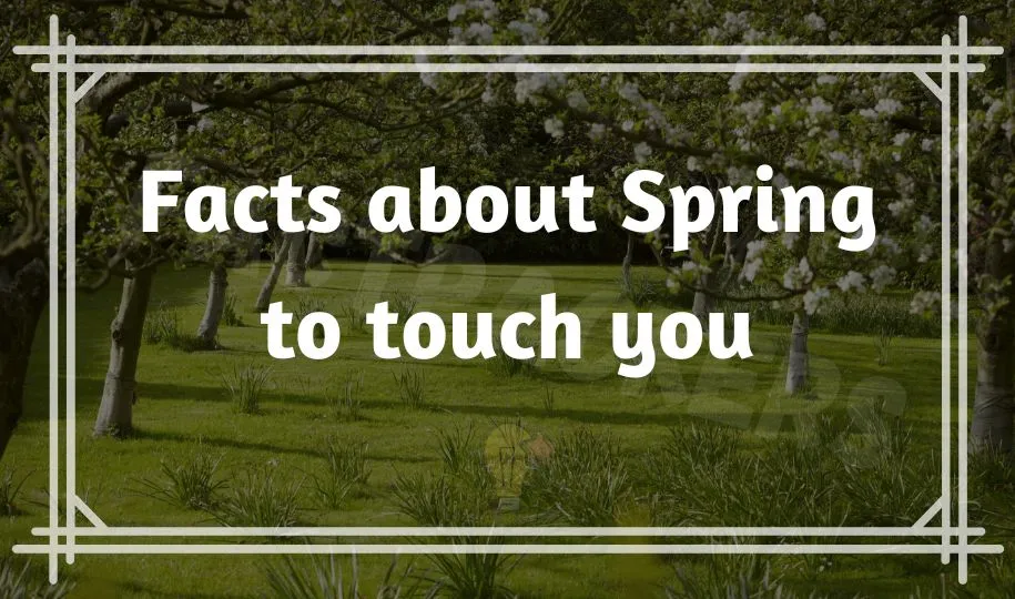 38-interesting-fun-facts-about-spring-that-nobody-know