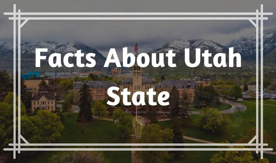 Funny & Interesting Fact About Utah State