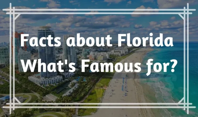 66 Interesting Facts about Florida What’s Famous for?
