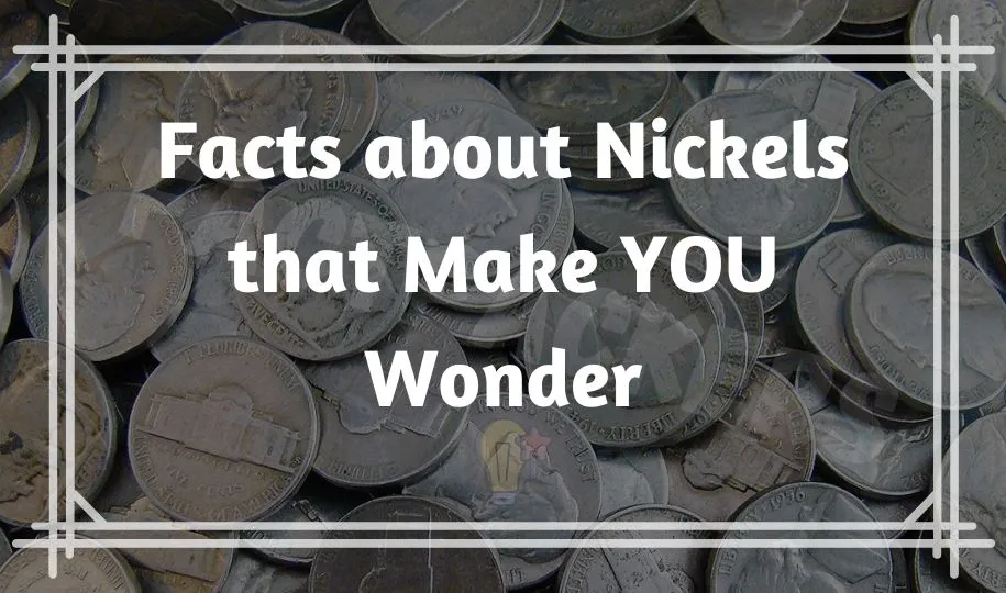 44 Interesting Facts about Nickels that Make YOU Wonder