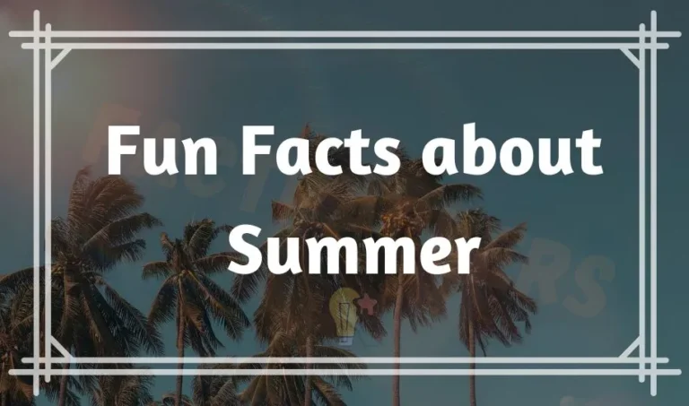 70 Fun Facts about Summer things that Only Happen in the Summer